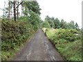 Farm road, Quarlton