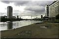 TQ3078 : The exposed foreshore by the River Thames by Steve Daniels