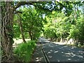 School Road towards Arborfield Cross