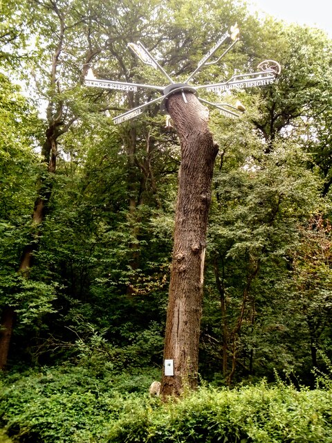 "Data  Tree" Lesnes Abbey Woods