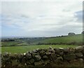 Stone walled fields and a field barn south of the Head Road