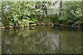 Small embayment, Bridgewater Canal