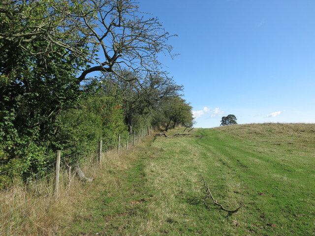 Field Boundary, Stannington