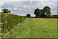 SU8886 : Footpath along hedge by N Chadwick