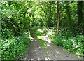 Gated track into woodland