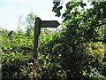 Public Footpath Signpost near Stannington