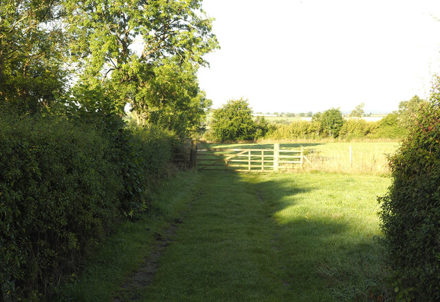 The Path to Low Lane