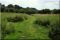 Teme flood plain