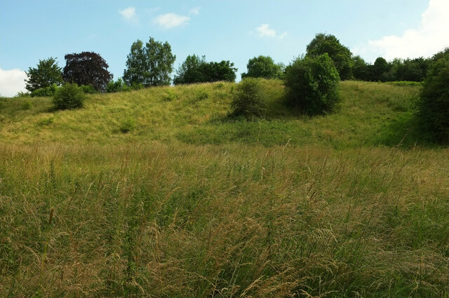 Trees on hillside near Tenbury Wells © Derek Harper :: Geograph Britain ...