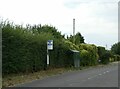 Overgrown footpath and hedge by bus shelter, Uckington