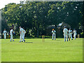 Cricket match, Goodmayes Park