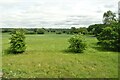 Grassland near Maidenhead