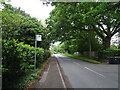 Bus stop on Hollybush Hill, Stoke Poges