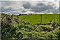 H5574 : Cloudy skies, Mullaghslin Glebe by Kenneth  Allen