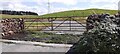 Field gateway from SE side of rural road NE of Pears Ghyll Farm