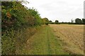 Byway towards Cherry Green