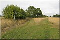 Footpath to Westmill