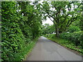 Grove Road towards Pumpkin Hill