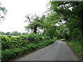 Curriers Lane towards Littleworth Common