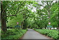 Entering Burnham Beeches