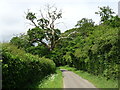 Bend in Green Common Lane