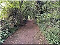 Bridleway into Aspenden