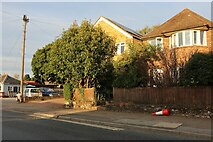 TQ7653 : Houses on Loose Road, Maidstone by David Howard