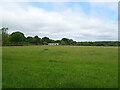 Grazing off Hitcham Lane