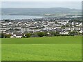 Grassland above Stranraer