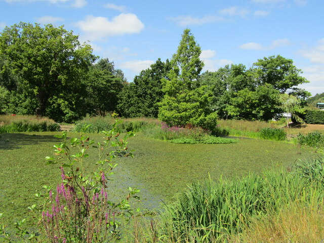 RHS Harlow Carr - Lake © Colin Smith :: Geograph Britain and Ireland