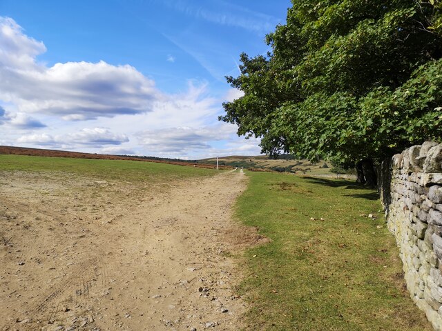 Path leading to Broomhead Moor