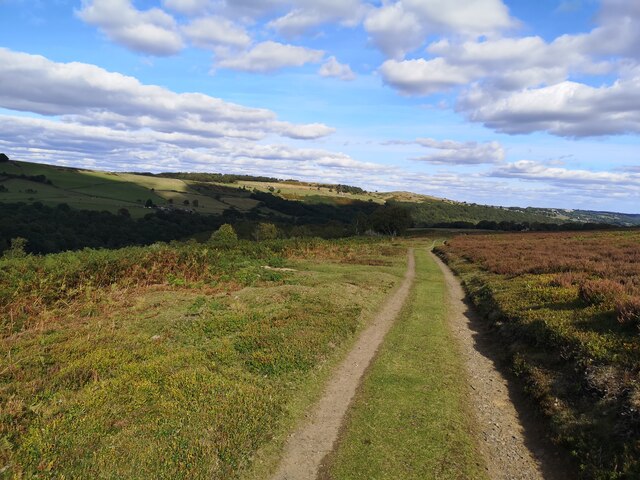 Track on Broomhead Moor