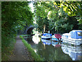 Canal boats and path, looking west