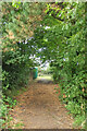 Path, Stoke Lodge Playing Fields