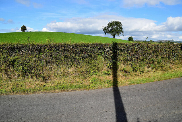 Shadow pointing to a distant tree, Gortnacreagh