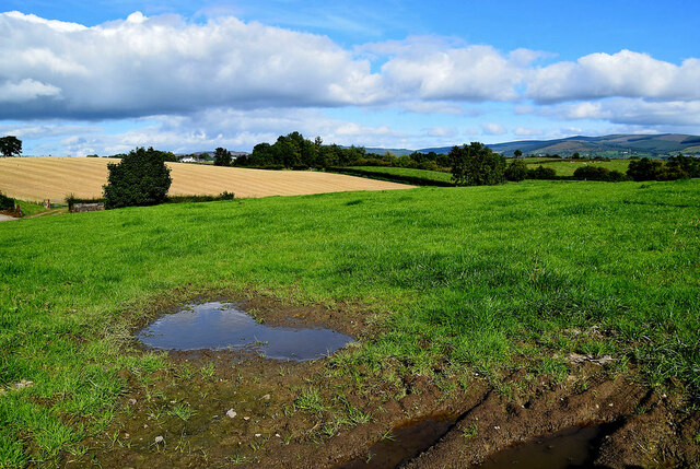 Muddy patch in field, Gortnacreagh