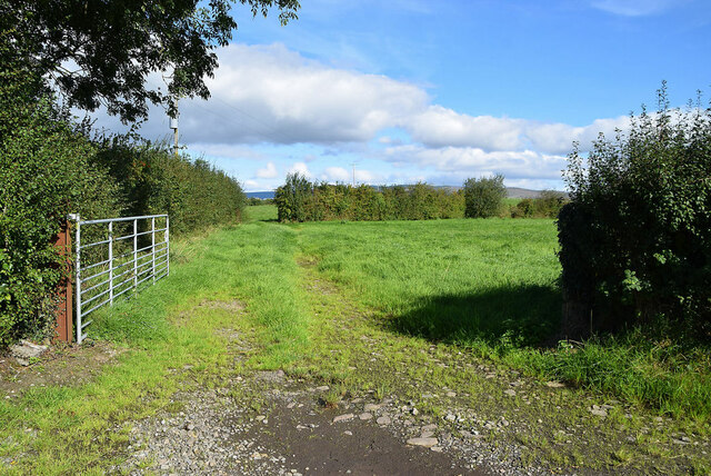 An open field, Gortnacreagh