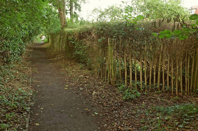 Ebenezer Lane Path, Bristol © Derek Harper :: Geograph Britain and Ireland