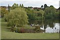 Pond below Troutbeck Drive