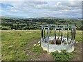 Animal feeder with a view