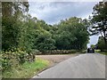 Road at Heatherwood Park