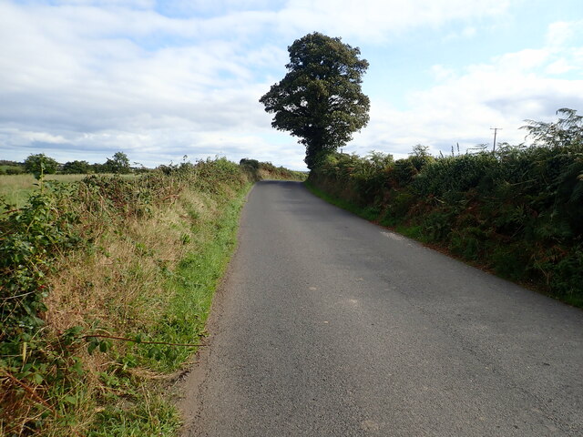 View ESE along Carrigs Road