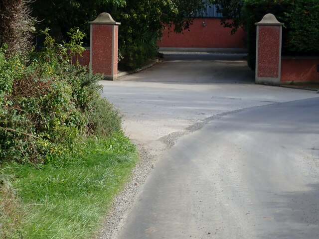 Joint farm entrances at a sharp bend in Carrigs Road