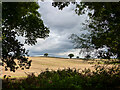 SO8981 : View from County Lane, Stourbridge by Oliver Mills
