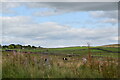 View across fields from New Road