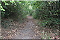 Footpath above Southfield Road, Much Wenlock