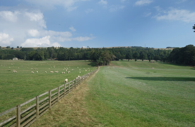 Grazing land near Rogerley Hall