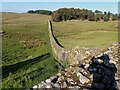 NY7968 : Housesteads Roman Fort - Hadrians Wall heads northeast by Rob Farrow