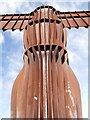 NZ2657 : Angel of the North - The ribbed body by Rob Farrow