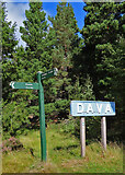 NJ0038 : Dava Station by Anne Burgess